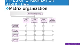 TYPES OF ORGANIZATION
STRUCTURE
© LIYANA NORIZAN DIS
Matrix organization
 