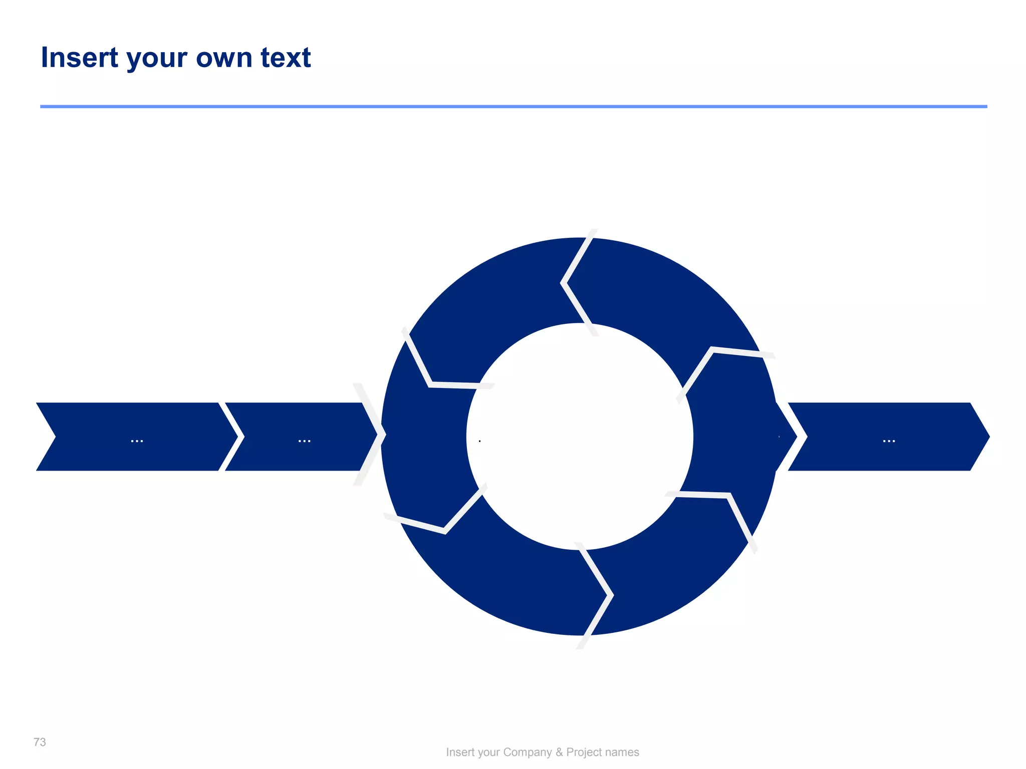73
Insert your Company & Project names
73
Insert your own text
… .… …
 