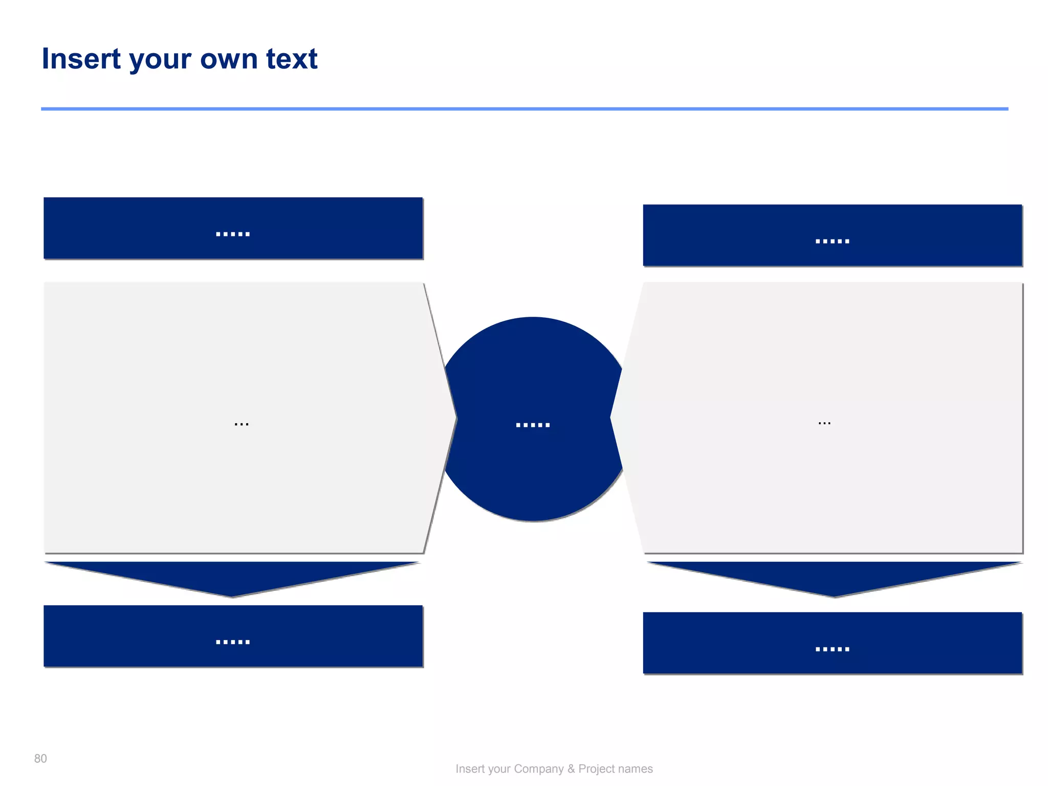 80
Insert your Company & Project names
80
Insert your own text
.....… …
..... .....
..... .....
 