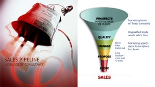 SALES PIPELINE
LIFEBLOOD OF CONSULTANCY
Marketing hands
off leads too easily
Unqualified leads
waste sale’s time
Marketing spends
more to recapture
lost leads
Warm
leads
leaked out
Long
Decision
cycle lead
to leaks
 