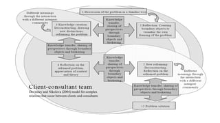 Devinney and Nikolova (2004) model for complex
relations that occur between clients and consultants
 