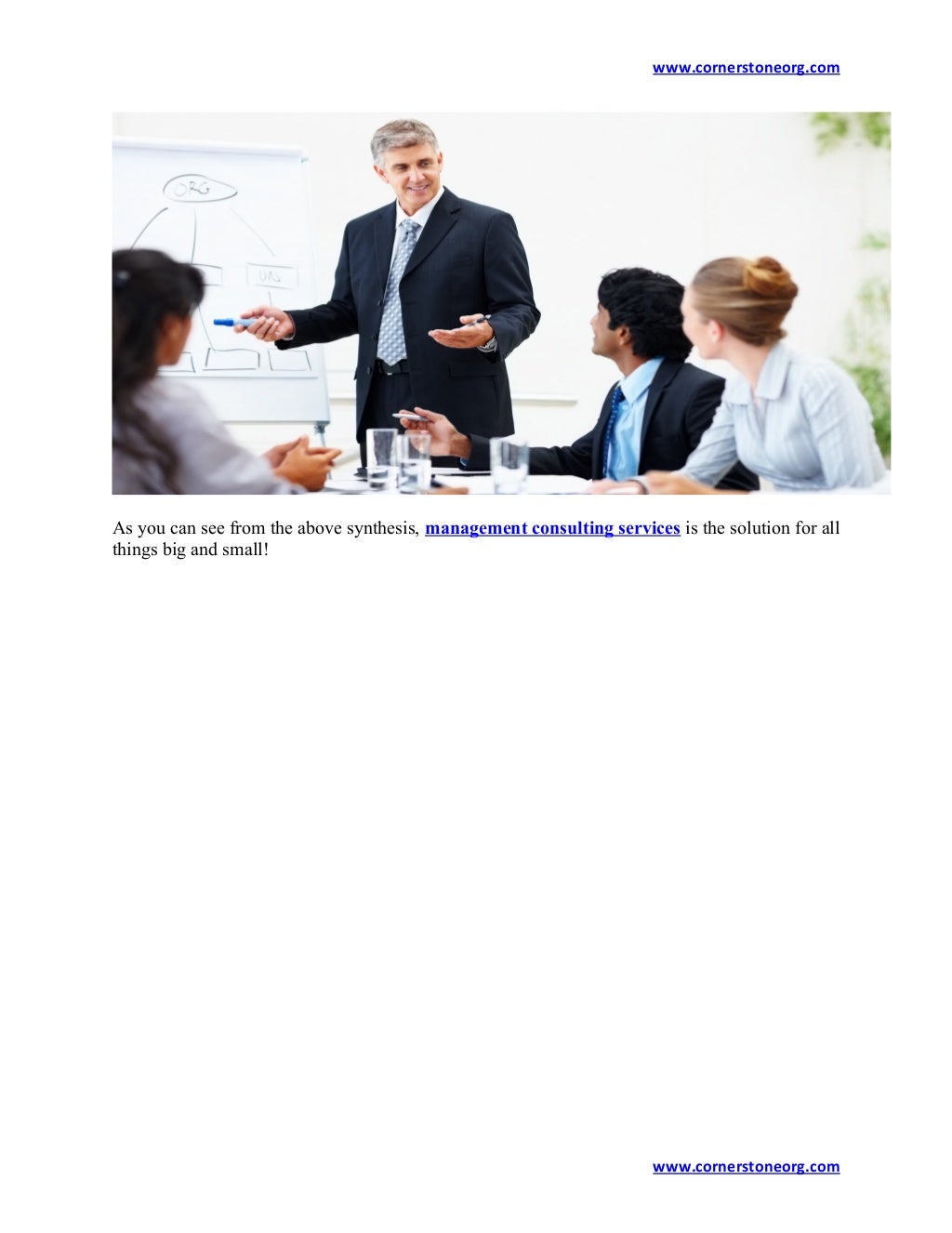Management Consulting And Business Consulting Services