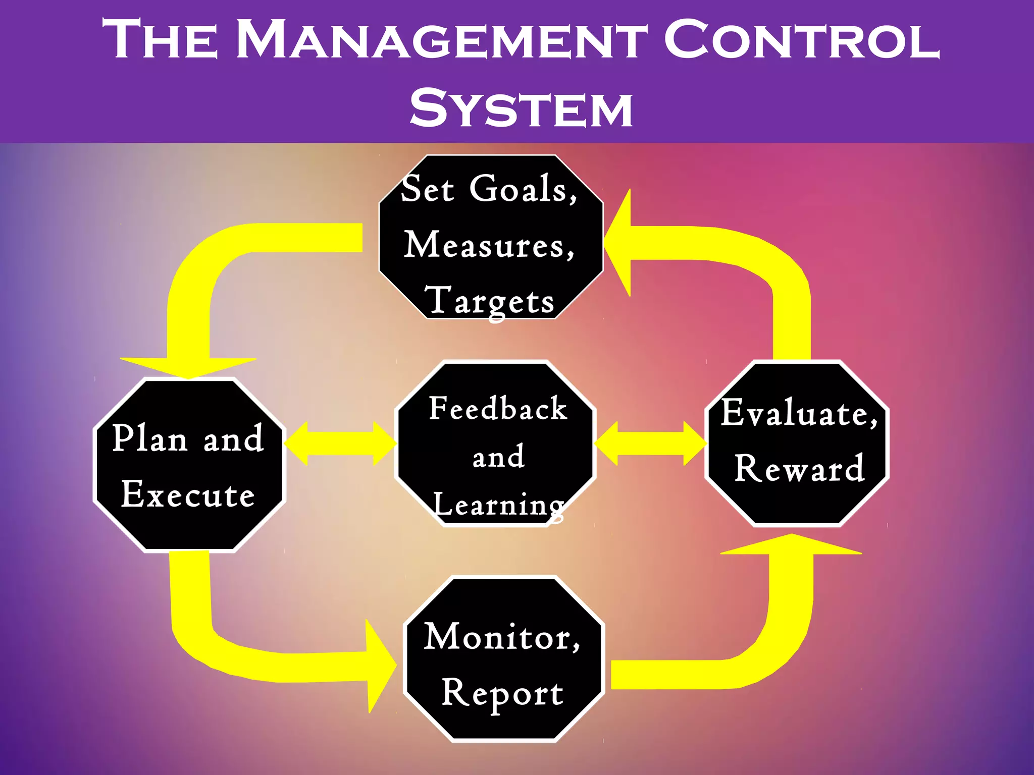 The Management Control
System
Set Goals,
Measures,
Targets
Feedback
and
Learning
Monitor,
Report
Plan and
Execute
Evaluate,
Reward
 