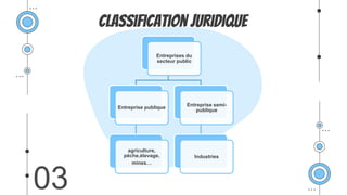 Classification juridique
03
Entreprises du
secteur public
Entreprise publique
agriculture,
pêche,élevage,
mines…
Entreprise semi-
publique
Industries
 