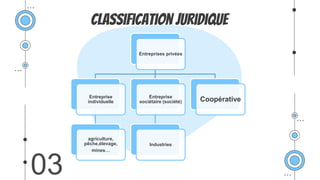 Classification juridique
03
Entreprises privées
Entreprise
individuelle
agriculture,
pêche,élevage,
mines…
Entreprise
sociétaire (société)
Industries
Coopérative
 