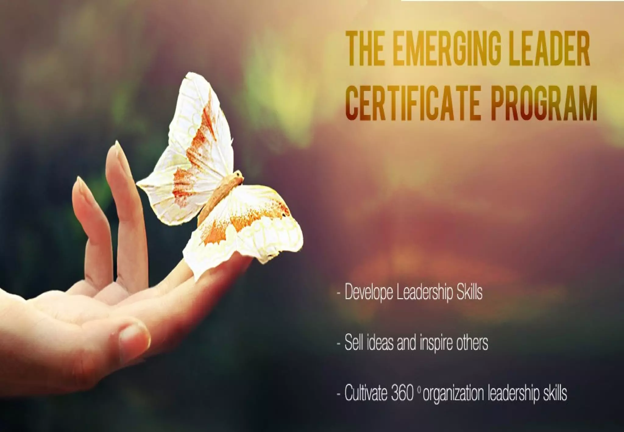 Management Development Program