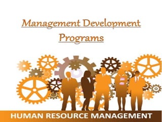 Management development programs 