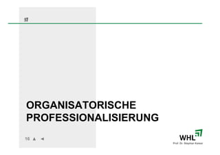 ORGANISATORISCHE
PROFESSIONALISIERUNG
16
                       Prof. Dr. Stephan Kaiser
 