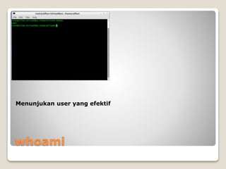 whoami
Menunjukan user yang efektif
 