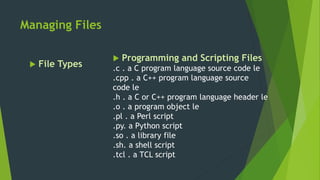 Management file and directory in linux | PPSX