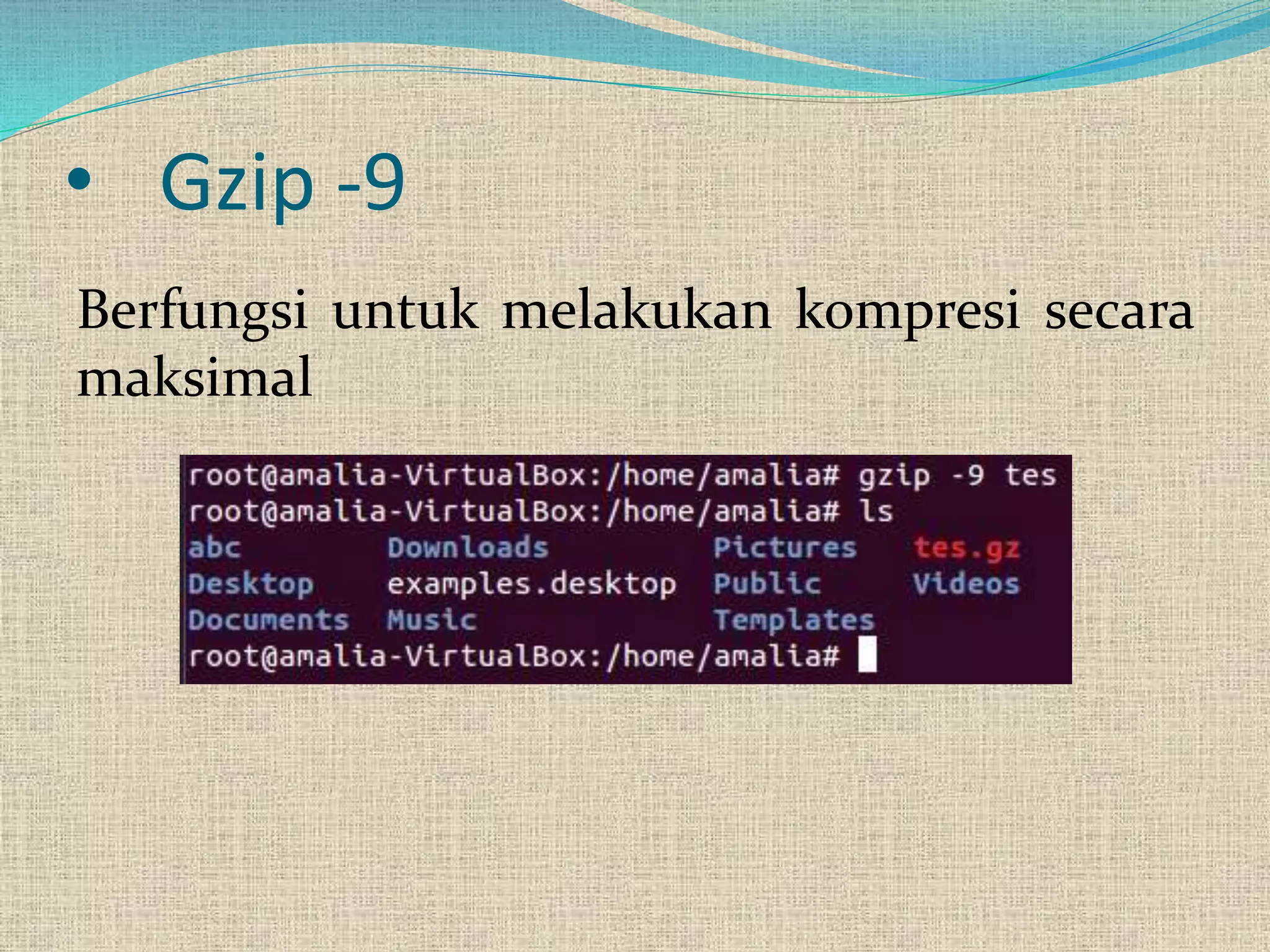 • Gzip -9
Berfungsi untuk melakukan kompresi secara
maksimal
 
