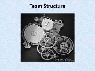Team Structure
 