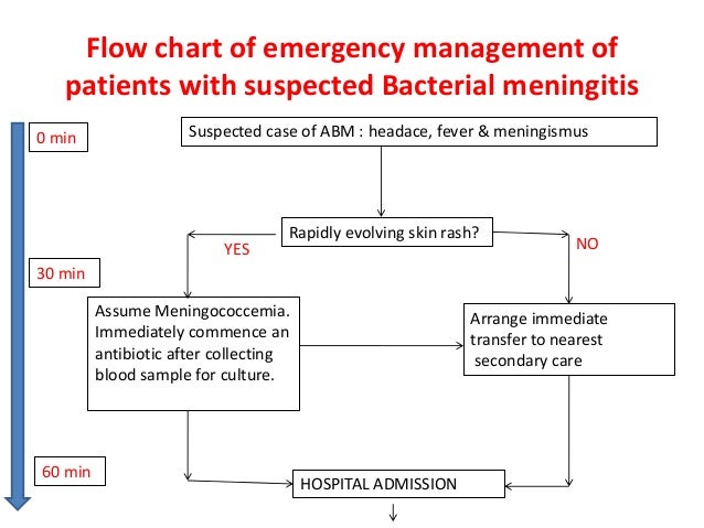 Meningitis Chart