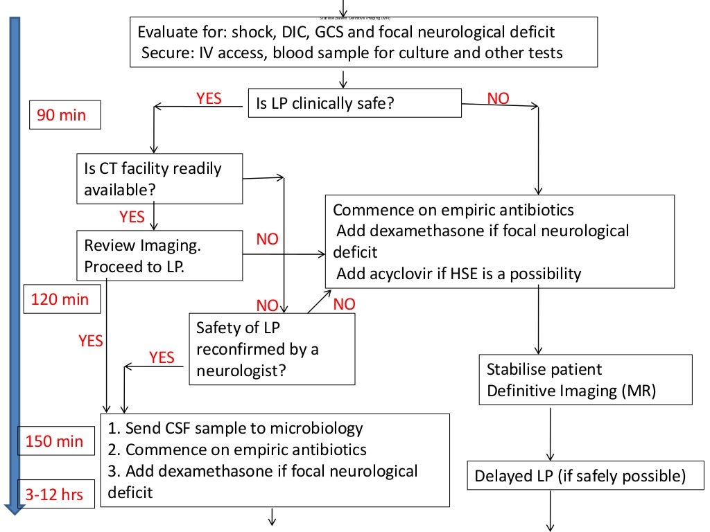 Management guidelines pyogenic meningitis