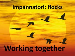 Impannatori: flocks
Working together
 
