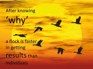 After knowing
‘why’
a flock is faster
in getting
results than
individuals
 