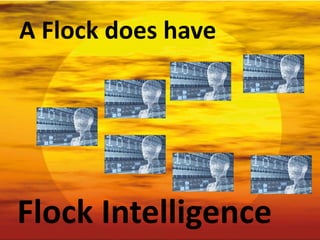 A Flock does have
Flock Intelligence
 