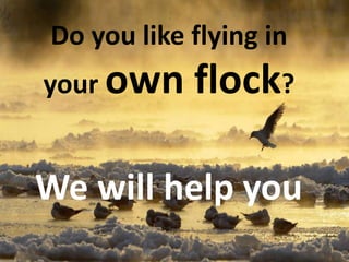 Do you like flying in
your own flock?
We will help you
 