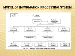 Model of information processing system