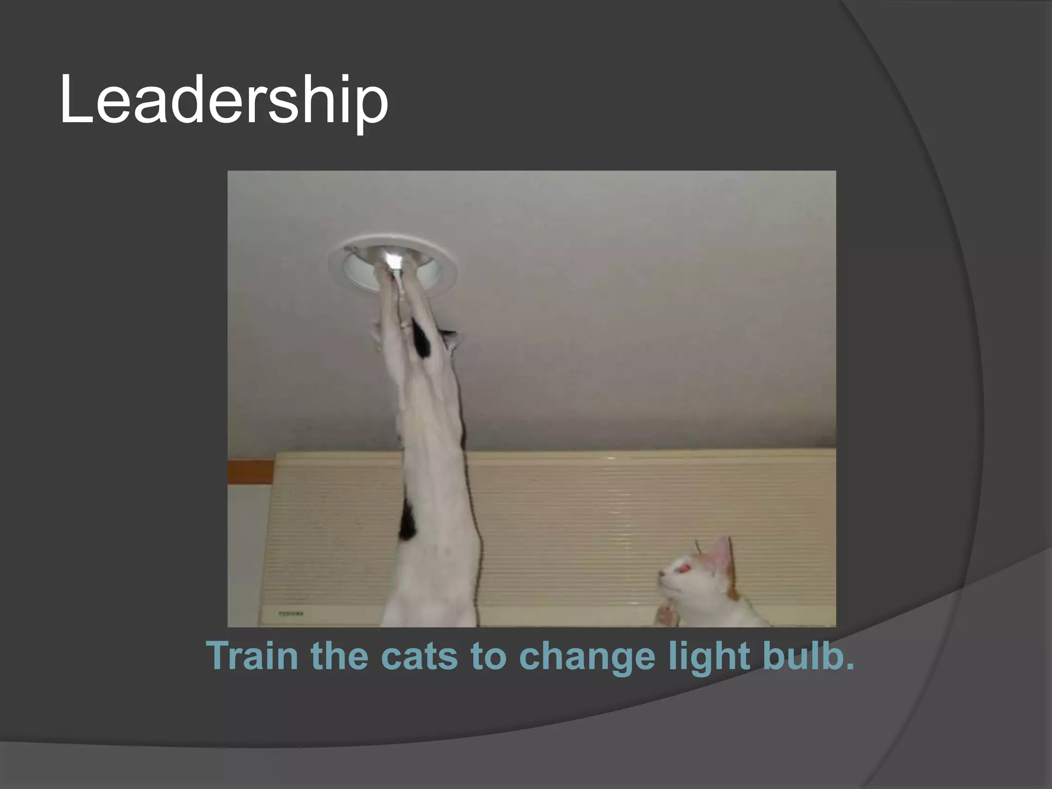 Leadership




    Train the cats to change light bulb.
 