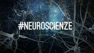 #neuroscienze
 