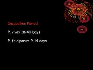 Incubation Period

P. vivax 18-40 Days

P. falciparum 9-14 days
 