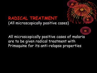 RADICAL TREATMENT
(All microscopically positive cases)


All microscopically positive cases of malaria
are to be given radical treatment with
Primaquine for its anti-relapse properties
 