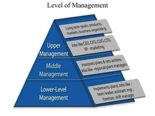 Level of Management
 
