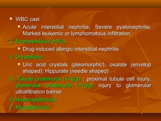   WBC cast
     Acute interstitial nephritis, Severe pyelonephritis,

       Marked leukemic or lymphomatous infiltration
3. Eosinophiluria (>5%)
     Drug induced allergic interstitial nephritis

4. Crystalluria
     Uric acid crystals (pleomorphic), oxalate (envelop

       shaped), Hippurate (needle shaped)
5. Tubule proteinuria (<1g/d) : proximal tubule cell injury,
   glomerular proteinuria (>1g/d) injury to glomerular
   ultrafiltration barrier
6. Haemoglobinuria
7. Myoglobinuria
 