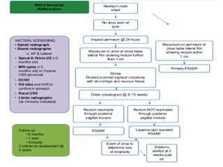 Management of ARM classification and treatment.pptx
