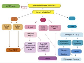 Management of ARM classification and treatment.pptx