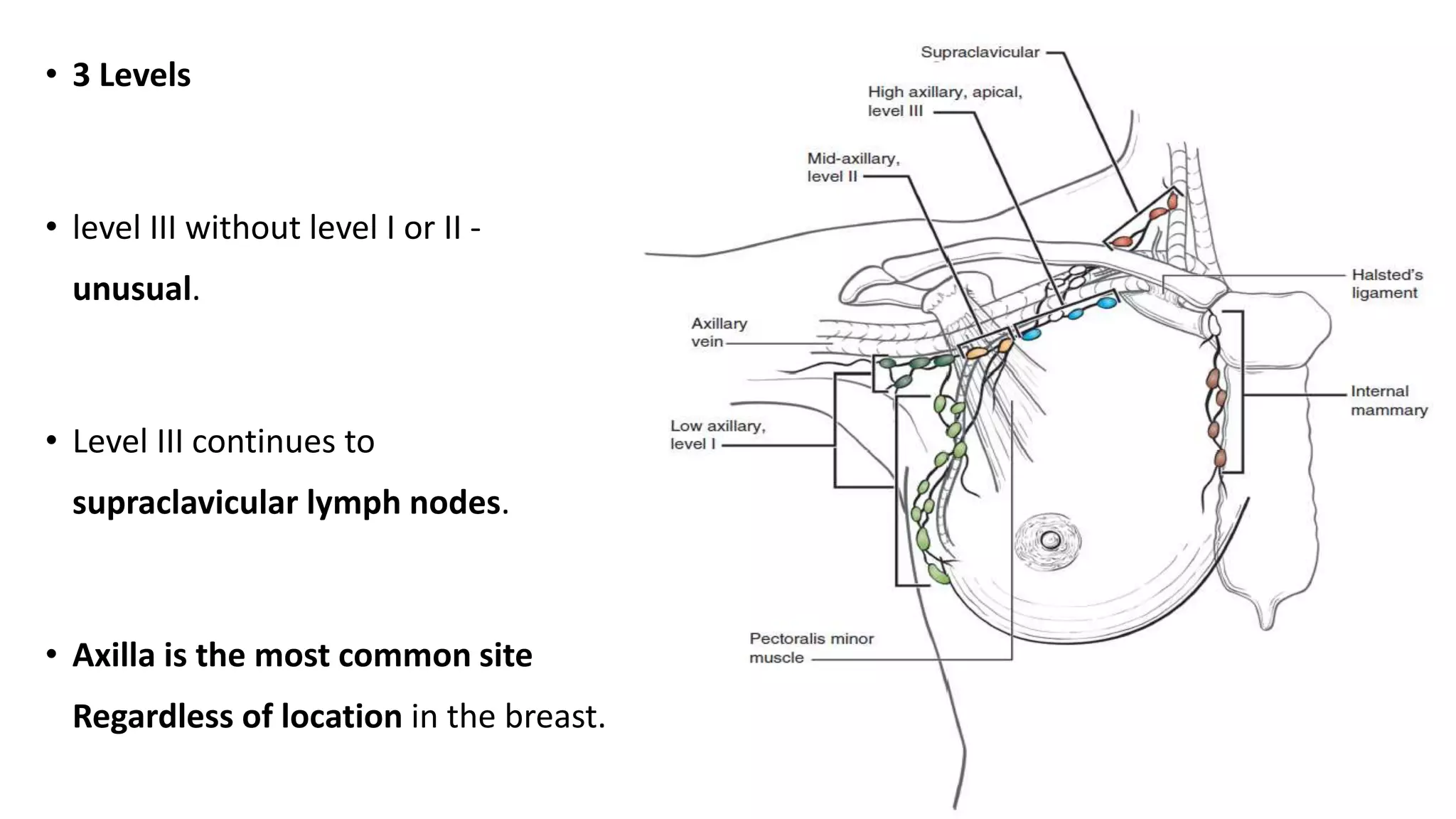 Management of axilla in carcinoma breast | PPTX