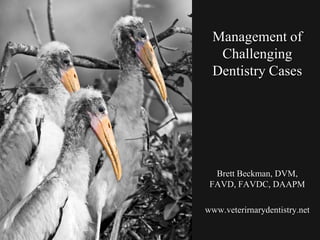 Management of Challenging Dentistry Cases Brett Beckman, DVM, FAVD, FAVDC, DAAPM www.veterirnarydentistry.net 