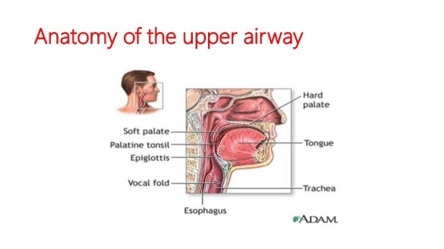 Management of choanal atresia