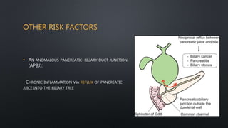 Apbj Radiology Cholangiocarcinoma.pptx