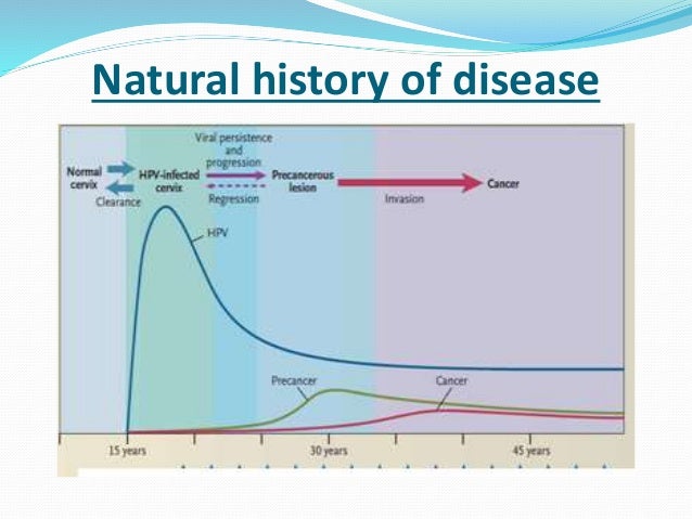 Natural History Of Cin Disease Progression Natural History Of Cin Disease Progression