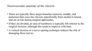 Comprehensive Management and Assessment of Clavicle Fractures in Active ...