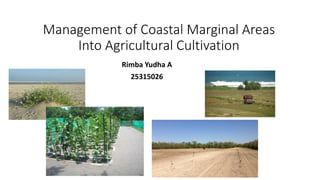 Management of Coastal Marginal Areas
Into Agricultural Cultivation
Rimba Yudha A
25315026
 