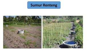 Management of coastal marginal areas into agricultural cultivation | PPTX