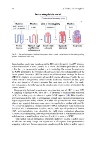 Management of colorectal cancers in older people | PDF