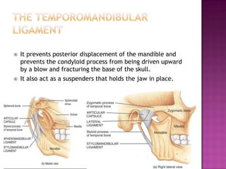 Management of condylar fractures | PPTX