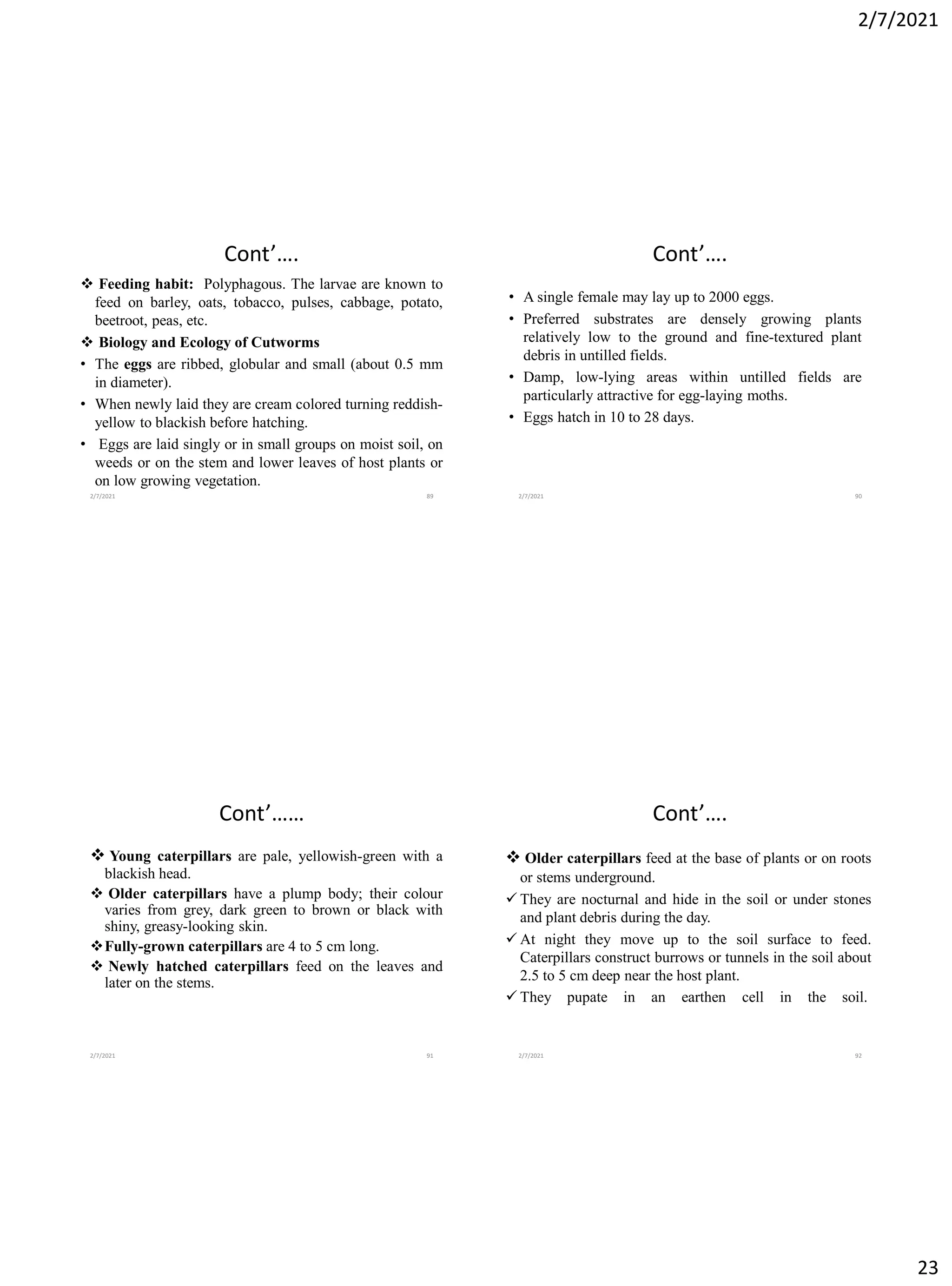 2/7/2021
23
Cont’….
❖ Feeding habit: Polyphagous. The larvae are known to
feed on barley, oats, tobacco, pulses, cabbage, potato,
beetroot, peas, etc.
❖ Biology and Ecology of Cutworms
• The eggs are ribbed, globular and small (about 0.5 mm
in diameter).
• When newly laid they are cream colored turning reddish-
yellow to blackish before hatching.
• Eggs are laid singly or in small groups on moist soil, on
weeds or on the stem and lower leaves of host plants or
on low growing vegetation.
2/7/2021 89
Cont’….
• A single female may lay up to 2000 eggs.
• Preferred substrates are densely growing plants
relatively low to the ground and fine-textured plant
debris in untilled fields.
• Damp, low-lying areas within untilled fields are
particularly attractive for egg-laying moths.
• Eggs hatch in 10 to 28 days.
2/7/2021 90
Cont’……
❖ Young caterpillars are pale, yellowish-green with a
blackish head.
❖ Older caterpillars have a plump body; their colour
varies from grey, dark green to brown or black with
shiny, greasy-looking skin.
❖Fully-grown caterpillars are 4 to 5 cm long.
❖ Newly hatched caterpillars feed on the leaves and
later on the stems.
2/7/2021 91
Cont’….
❖ Older caterpillars feed at the base of plants or on roots
or stems underground.
✓ They are nocturnal and hide in the soil or under stones
and plant debris during the day.
✓ At night they move up to the soil surface to feed.
Caterpillars construct burrows or tunnels in the soil about
2.5 to 5 cm deep near the host plant.
✓ They pupate in an earthen cell in the soil.
2/7/2021 92
 