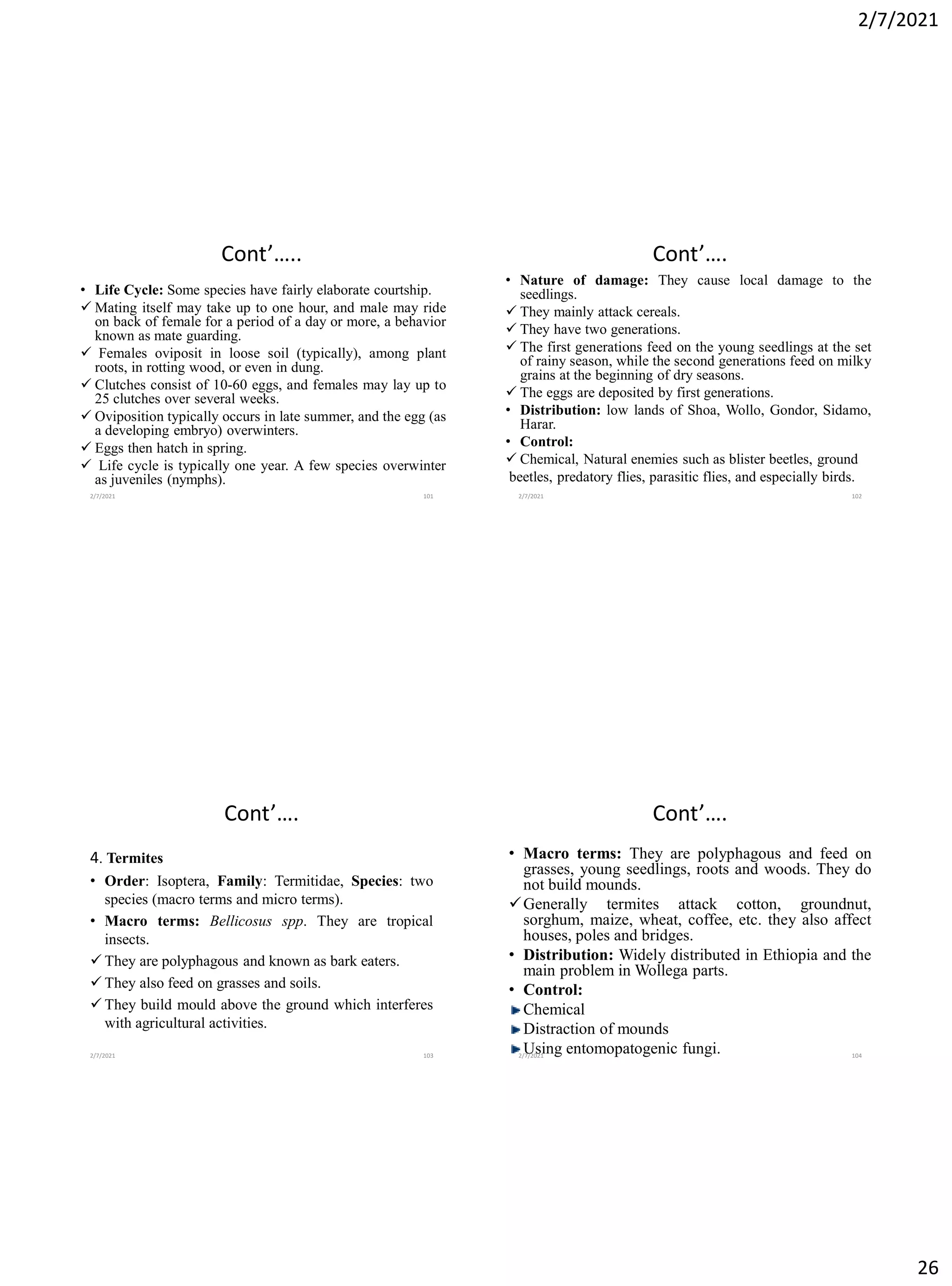 2/7/2021
26
Cont’…..
• Life Cycle: Some species have fairly elaborate courtship.
✓ Mating itself may take up to one hour, and male may ride
on back of female for a period of a day or more, a behavior
known as mate guarding.
✓ Females oviposit in loose soil (typically), among plant
roots, in rotting wood, or even in dung.
✓ Clutches consist of 10-60 eggs, and females may lay up to
25 clutches over several weeks.
✓ Oviposition typically occurs in late summer, and the egg (as
a developing embryo) overwinters.
✓ Eggs then hatch in spring.
✓ Life cycle is typically one year. A few species overwinter
as juveniles (nymphs).
2/7/2021 101
Cont’….
• Nature of damage: They cause local damage to the
seedlings.
✓ They mainly attack cereals.
✓ They have two generations.
✓ The first generations feed on the young seedlings at the set
of rainy season, while the second generations feed on milky
grains at the beginning of dry seasons.
✓ The eggs are deposited by first generations.
• Distribution: low lands of Shoa, Wollo, Gondor, Sidamo,
Harar.
• Control:
✓ Chemical, Natural enemies such as blister beetles, ground
beetles, predatory flies, parasitic flies, and especially birds.
2/7/2021 102
Cont’….
4. Termites
• Order: Isoptera, Family: Termitidae, Species: two
species (macro terms and micro terms).
• Macro terms: Bellicosus spp. They are tropical
insects.
✓ They are polyphagous and known as bark eaters.
✓ They also feed on grasses and soils.
✓ They build mould above the ground which interferes
with agricultural activities.
2/7/2021 103
Cont’….
• Macro terms: They are polyphagous and feed on
grasses, young seedlings, roots and woods. They do
not build mounds.
✓Generally termites attack cotton, groundnut,
sorghum, maize, wheat, coffee, etc. they also affect
houses, poles and bridges.
• Distribution: Widely distributed in Ethiopia and the
main problem in Wollega parts.
• Control:
Chemical
Distraction of mounds
Using entomopatogenic fungi.
2/7/2021 104
 