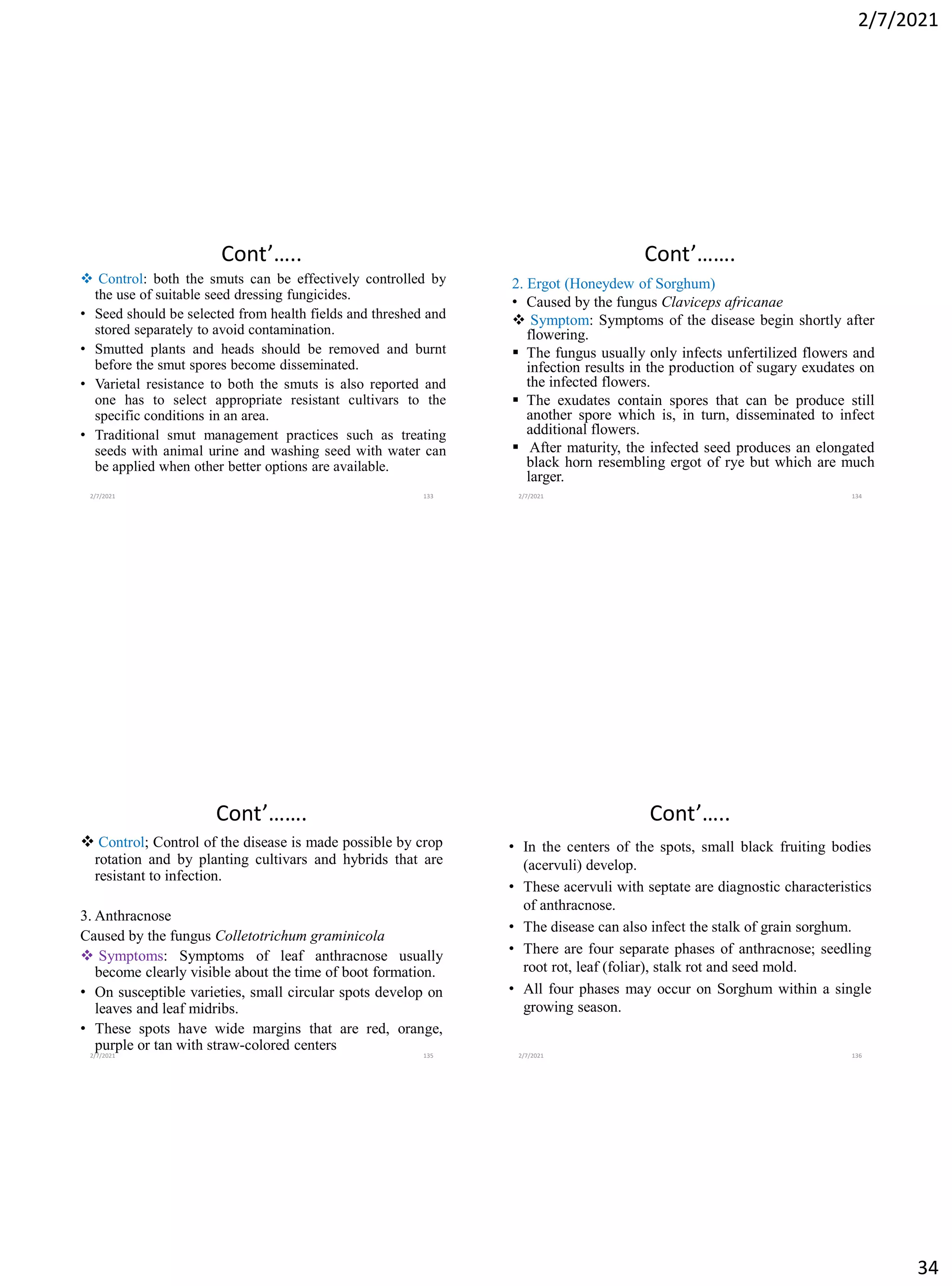 2/7/2021
34
Cont’…..
❖ Control: both the smuts can be effectively controlled by
the use of suitable seed dressing fungicides.
• Seed should be selected from health fields and threshed and
stored separately to avoid contamination.
• Smutted plants and heads should be removed and burnt
before the smut spores become disseminated.
• Varietal resistance to both the smuts is also reported and
one has to select appropriate resistant cultivars to the
specific conditions in an area.
• Traditional smut management practices such as treating
seeds with animal urine and washing seed with water can
be applied when other better options are available.
2/7/2021 133
Cont’…….
2. Ergot (Honeydew of Sorghum)
• Caused by the fungus Claviceps africanae
❖ Symptom: Symptoms of the disease begin shortly after
flowering.
▪ The fungus usually only infects unfertilized flowers and
infection results in the production of sugary exudates on
the infected flowers.
▪ The exudates contain spores that can be produce still
another spore which is, in turn, disseminated to infect
additional flowers.
▪ After maturity, the infected seed produces an elongated
black horn resembling ergot of rye but which are much
larger.
2/7/2021 134
Cont’…….
❖ Control; Control of the disease is made possible by crop
rotation and by planting cultivars and hybrids that are
resistant to infection.
3. Anthracnose
Caused by the fungus Colletotrichum graminicola
❖ Symptoms: Symptoms of leaf anthracnose usually
become clearly visible about the time of boot formation.
• On susceptible varieties, small circular spots develop on
leaves and leaf midribs.
• These spots have wide margins that are red, orange,
purple or tan with straw-colored centers
2/7/2021 135
Cont’…..
• In the centers of the spots, small black fruiting bodies
(acervuli) develop.
• These acervuli with septate are diagnostic characteristics
of anthracnose.
• The disease can also infect the stalk of grain sorghum.
• There are four separate phases of anthracnose; seedling
root rot, leaf (foliar), stalk rot and seed mold.
• All four phases may occur on Sorghum within a single
growing season.
2/7/2021 136
 