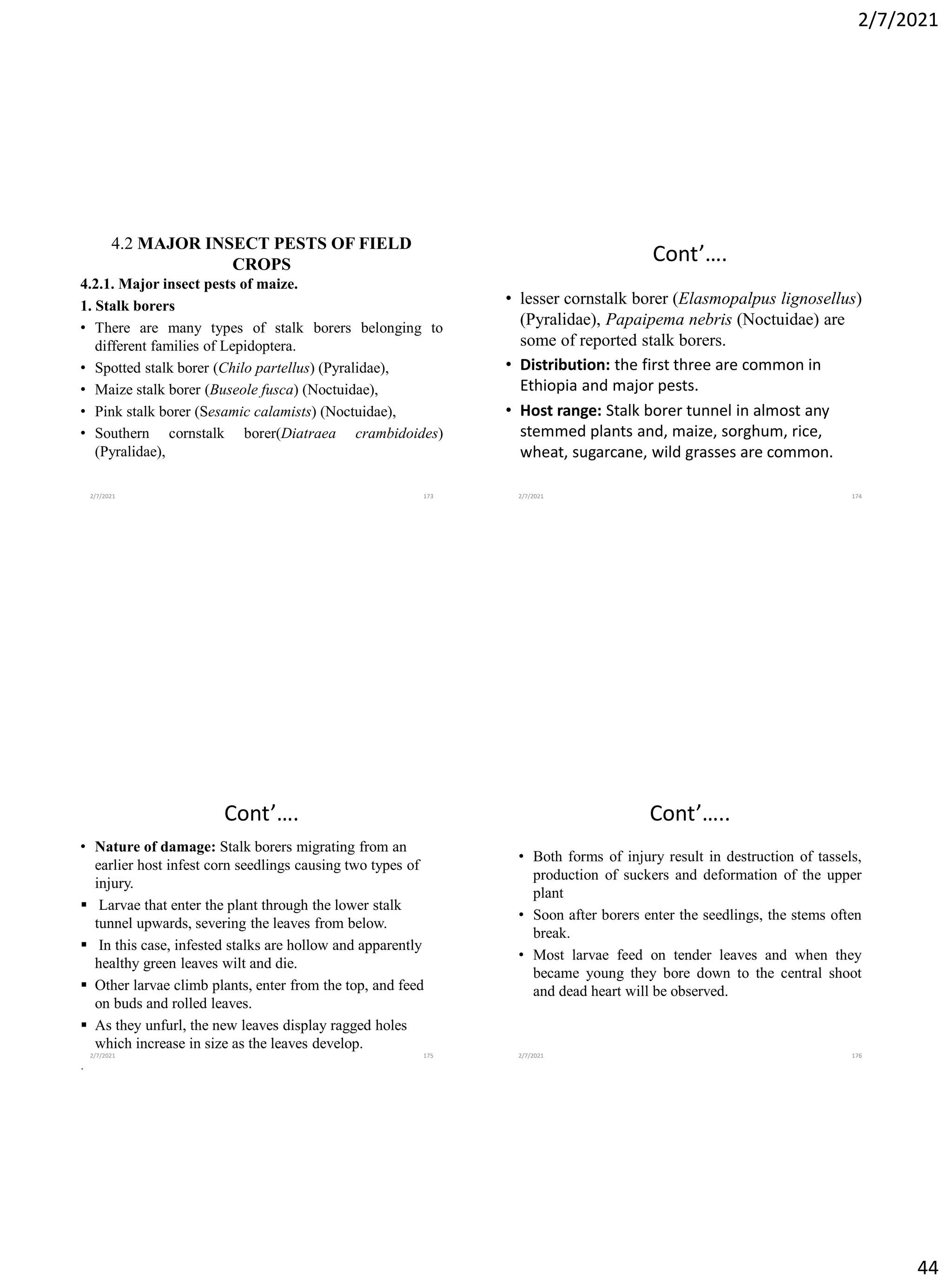 2/7/2021
44
4.2 MAJOR INSECT PESTS OF FIELD
CROPS
4.2.1. Major insect pests of maize.
1. Stalk borers
• There are many types of stalk borers belonging to
different families of Lepidoptera.
• Spotted stalk borer (Chilo partellus) (Pyralidae),
• Maize stalk borer (Buseole fusca) (Noctuidae),
• Pink stalk borer (Sesamic calamists) (Noctuidae),
• Southern cornstalk borer(Diatraea crambidoides)
(Pyralidae),
2/7/2021 173
Cont’….
• lesser cornstalk borer (Elasmopalpus lignosellus)
(Pyralidae), Papaipema nebris (Noctuidae) are
some of reported stalk borers.
• Distribution: the first three are common in
Ethiopia and major pests.
• Host range: Stalk borer tunnel in almost any
stemmed plants and, maize, sorghum, rice,
wheat, sugarcane, wild grasses are common.
2/7/2021 174
Cont’….
• Nature of damage: Stalk borers migrating from an
earlier host infest corn seedlings causing two types of
injury.
▪ Larvae that enter the plant through the lower stalk
tunnel upwards, severing the leaves from below.
▪ In this case, infested stalks are hollow and apparently
healthy green leaves wilt and die.
▪ Other larvae climb plants, enter from the top, and feed
on buds and rolled leaves.
▪ As they unfurl, the new leaves display ragged holes
which increase in size as the leaves develop.
.
2/7/2021 175
Cont’…..
• Both forms of injury result in destruction of tassels,
production of suckers and deformation of the upper
plant
• Soon after borers enter the seedlings, the stems often
break.
• Most larvae feed on tender leaves and when they
became young they bore down to the central shoot
and dead heart will be observed.
2/7/2021 176
 