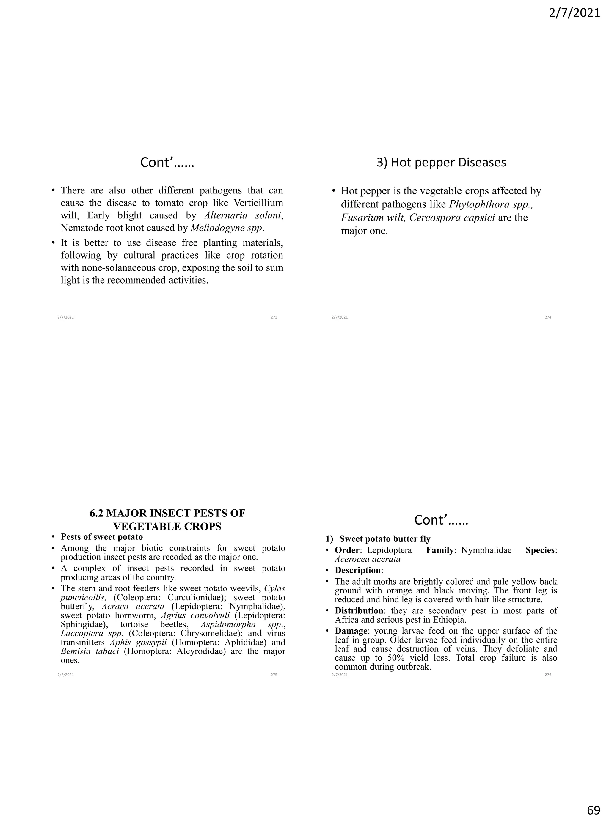 2/7/2021
69
Cont’……
• There are also other different pathogens that can
cause the disease to tomato crop like Verticillium
wilt, Early blight caused by Alternaria solani,
Nematode root knot caused by Meliodogyne spp.
• It is better to use disease free planting materials,
following by cultural practices like crop rotation
with none-solanaceous crop, exposing the soil to sum
light is the recommended activities.
2/7/2021 273
3) Hot pepper Diseases
• Hot pepper is the vegetable crops affected by
different pathogens like Phytophthora spp.,
Fusarium wilt, Cercospora capsici are the
major one.
2/7/2021 274
6.2 MAJOR INSECT PESTS OF
VEGETABLE CROPS
• Pests of sweet potato
• Among the major biotic constraints for sweet potato
production insect pests are recoded as the major one.
• A complex of insect pests recorded in sweet potato
producing areas of the country.
• The stem and root feeders like sweet potato weevils, Cylas
puncticollis, (Coleoptera: Curculionidae); sweet potato
butterfly, Acraea acerata (Lepidoptera: Nymphalidae),
sweet potato hornworm, Agrius convolvuli (Lepidoptera:
Sphingidae), tortoise beetles, Aspidomorpha spp.,
Laccoptera spp. (Coleoptera: Chrysomelidae); and virus
transmitters Aphis gossypii (Homoptera: Aphididae) and
Bemisia tabaci (Homoptera: Aleyrodidae) are the major
ones.
2/7/2021 275
Cont’……
1) Sweet potato butter fly
• Order: Lepidoptera Family: Nymphalidae Species:
Acerocea acerata
• Description:
• The adult moths are brightly colored and pale yellow back
ground with orange and black moving. The front leg is
reduced and hind leg is covered with hair like structure.
• Distribution: they are secondary pest in most parts of
Africa and serious pest in Ethiopia.
• Damage: young larvae feed on the upper surface of the
leaf in group. Older larvae feed individually on the entire
leaf and cause destruction of veins. They defoliate and
cause up to 50% yield loss. Total crop failure is also
common during outbreak.
2/7/2021 276
 