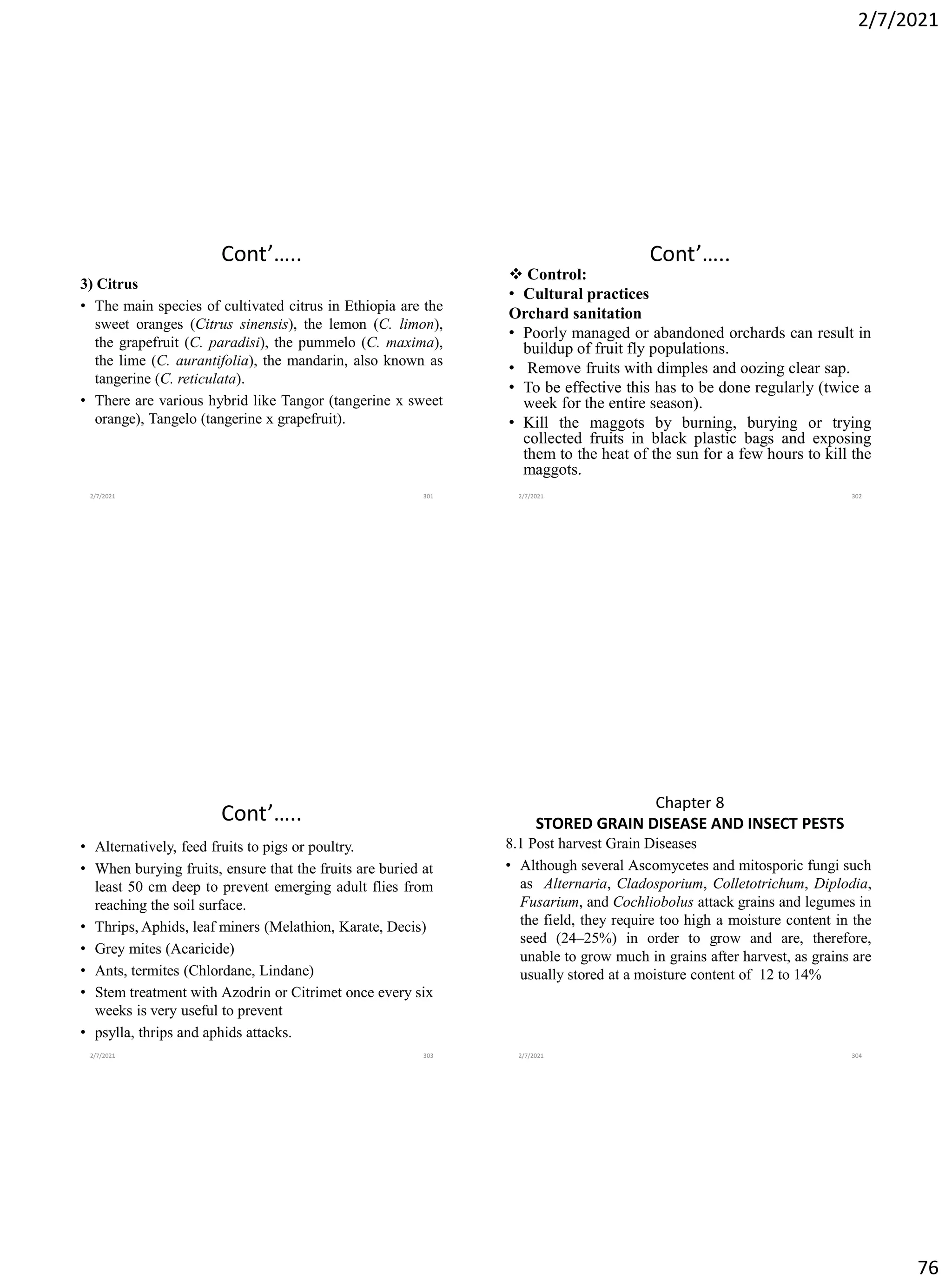 2/7/2021
76
Cont’…..
3) Citrus
• The main species of cultivated citrus in Ethiopia are the
sweet oranges (Citrus sinensis), the lemon (C. limon),
the grapefruit (C. paradisi), the pummelo (C. maxima),
the lime (C. aurantifolia), the mandarin, also known as
tangerine (C. reticulata).
• There are various hybrid like Tangor (tangerine x sweet
orange), Tangelo (tangerine x grapefruit).
2/7/2021 301
Cont’…..
❖ Control:
• Cultural practices
Orchard sanitation
• Poorly managed or abandoned orchards can result in
buildup of fruit fly populations.
• Remove fruits with dimples and oozing clear sap.
• To be effective this has to be done regularly (twice a
week for the entire season).
• Kill the maggots by burning, burying or trying
collected fruits in black plastic bags and exposing
them to the heat of the sun for a few hours to kill the
maggots.
2/7/2021 302
Cont’…..
• Alternatively, feed fruits to pigs or poultry.
• When burying fruits, ensure that the fruits are buried at
least 50 cm deep to prevent emerging adult flies from
reaching the soil surface.
• Thrips, Aphids, leaf miners (Melathion, Karate, Decis)
• Grey mites (Acaricide)
• Ants, termites (Chlordane, Lindane)
• Stem treatment with Azodrin or Citrimet once every six
weeks is very useful to prevent
• psylla, thrips and aphids attacks.
2/7/2021 303
Chapter 8
STORED GRAIN DISEASE AND INSECT PESTS
8.1 Post harvest Grain Diseases
• Although several Ascomycetes and mitosporic fungi such
as Alternaria, Cladosporium, Colletotrichum, Diplodia,
Fusarium, and Cochliobolus attack grains and legumes in
the field, they require too high a moisture content in the
seed (24–25%) in order to grow and are, therefore,
unable to grow much in grains after harvest, as grains are
usually stored at a moisture content of 12 to 14%
2/7/2021 304
 