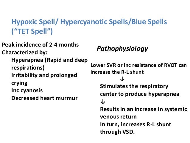 tet spell