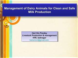 Free Powerpoint Templates Hari Om Pandey Livestock Production & management IVRI, Izatnagar [email_address]   Management of Dairy Animals for Clean and Safe Milk Production 