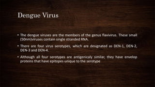 Dengue Virus
• The dengue viruses are the members of the genus flavivirus. These small
(50nm)viruses contain single stranded RNA.
• There are four virus serotypes, which are designated as DEN-1, DEN-2,
DEN-3 and DEN-4.
• Although all four serotypes are antigenicaly similar, they have envelop
proteins that have epitopes unique to the serotype
 